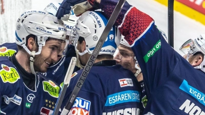 Auch die Eisbären Berlin erreichten das DEL-Finale. (Foto: Andreas Gora/dpa)