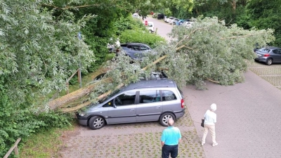 Ein großer Baum stürzte am Rezatparkplatz in Ansbach auf zwei Autos. (Foto: Alexander Biernoth)