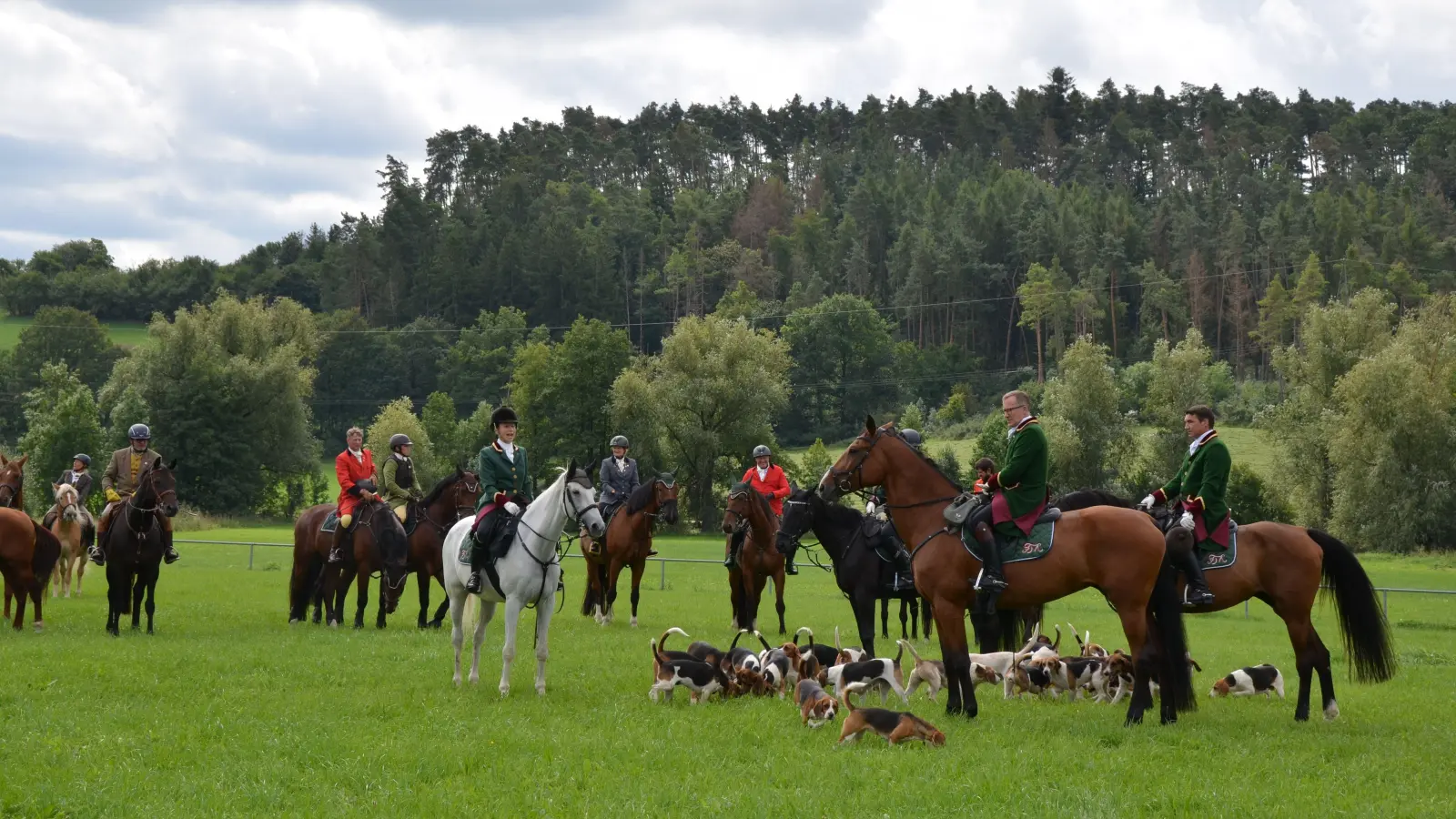 Saisonauftakt der Frankenmeute in Trautskirchen: Immer den Beagles hinterher ging es für rund 30 Reiterinnen und Reiter auf eine 18 Kilometer lange Strecke durch die Zennauen und über die Frankenhöhe. (Foto: Y. Neckermann)