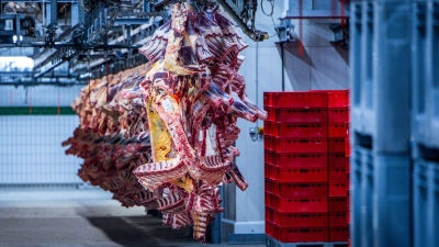 Der Schlachthof wurde am Montag zunächst geschlossen. (Symbolbild) (Foto: Jens Büttner/dpa)