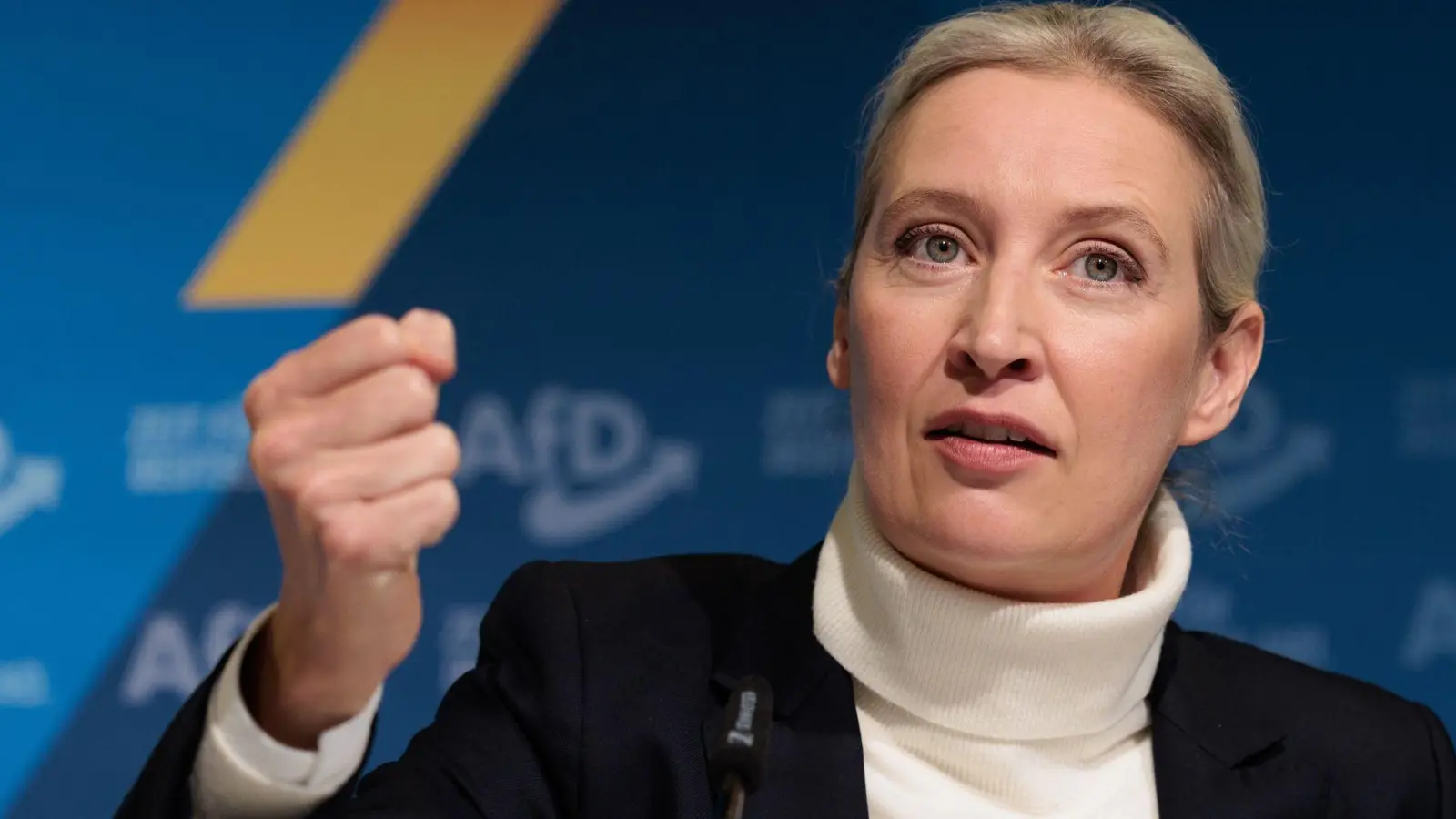 AfD-Chefin Alice Weidel soll ihre Partei als Kanzlerkandidatin in den Bundestagswahlkampf führen.  (Foto: Carsten Koall/dpa)