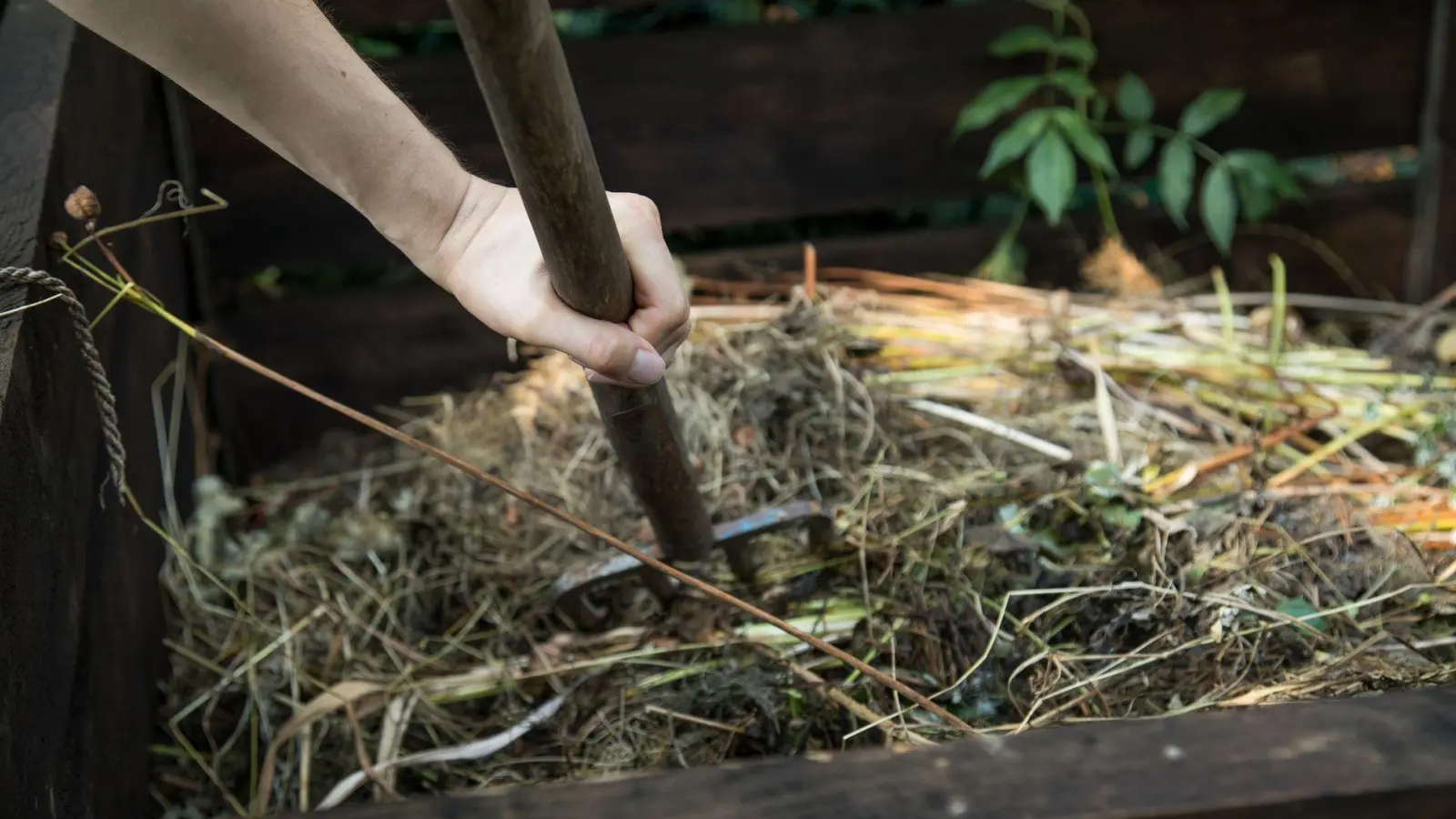 Vor dem ersten Frost setzt man den Kompost am besten um - dies verhindert Schimmelbildung. (Foto: Christin Klose/dpa-tmn)