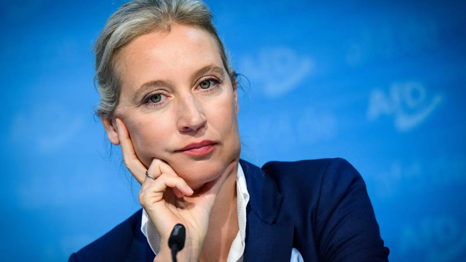 Alice Weidel soll einer Vorabsprache zufolge Kanzlerkandidatin der AfD werden (Archivbild) (Foto: Bernd von Jutrczenka/dpa)