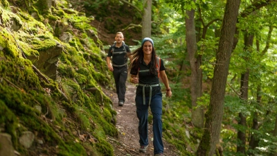 Unterwegs auf dem Urwaldsteig am Edersee: An vielen Stellen führt der Weg durch ursprüngliche Natur. (Foto: Markus Balkow/Edersee Marketing GmbH/dpa-tmn)