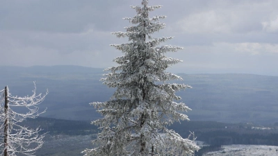 Im Mittelgebirge ist mit viel Neuschnee zu rechnen. (Foto: Matthias Bein/dpa)