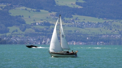 Im Bodensee sind zwei Leichen entdeckt worden. (Foto: Karl-Josef Hildenbrand/dpa)