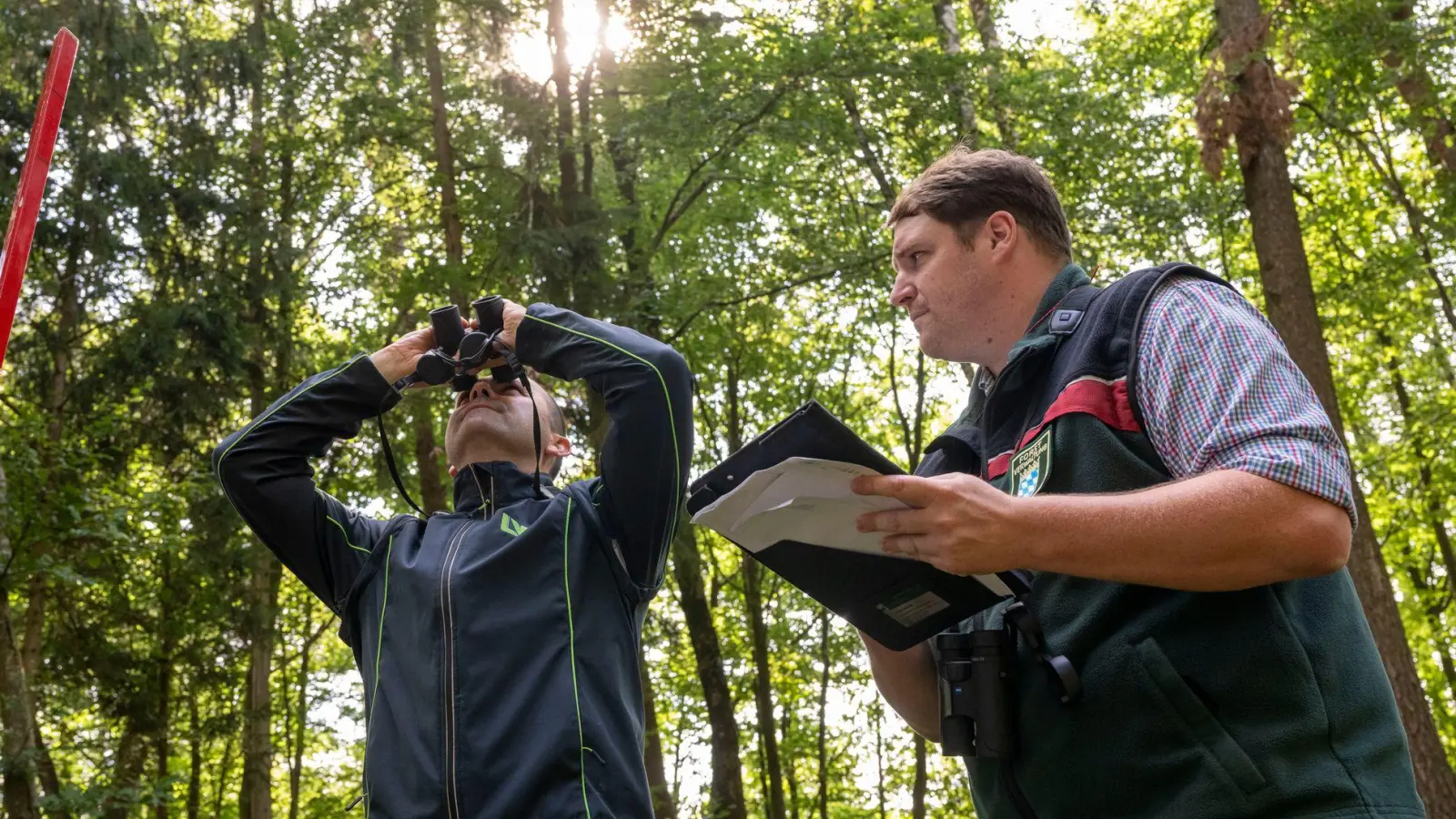 Die Landesinventurleiter für die Waldzustandserhebung, Michael Heym (l) und Wolfgang Stöger (r), schauen Bäume an. (Foto: Peter Kneffel/dpa)