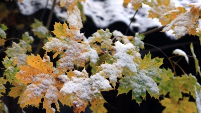 Mehr als fünf Zentimeter Neuschnee erwartet der Deutsche Wetterdienst in den meisten Regionen Bayerns nicht. (Archivbild) (Foto: Karl-Josef Hildenbrand/dpa)