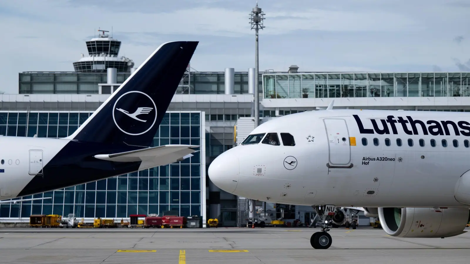 Der Münchner Flughafen meldet starkes Wachstum trotz Wirtschaftskrise. (Archivbild) (Foto: Sven Hoppe/dpa)