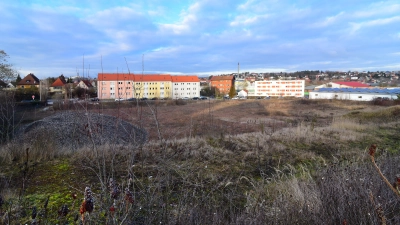 Auf dem Gelände waren 2013 die Gebäude der einstigen Bezirksmolkerei abgerissen worden. Seitdem hatte sich die Vegetation ausgebreitet. Vor dem anstehenden Neubau wurde nun gerodet. (Foto: Jim Albright)