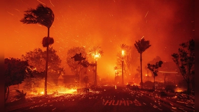 In der Feuerzone haben viele Hollywoodstars Villen.  (Foto: Ethan Swope/FR171736 AP/dpa)