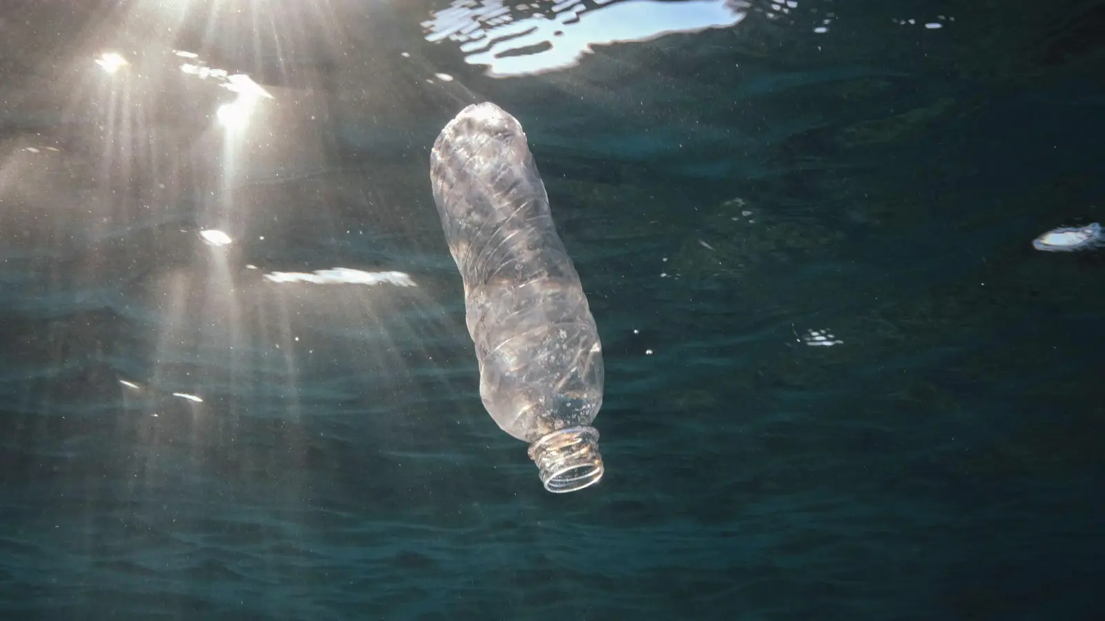 Eine weggeworfene Plastikflasche treibt im Roten Meer vor Ägypten. (Foto: Andrey Nekrasov/ZUMA Press Wire/dpa)