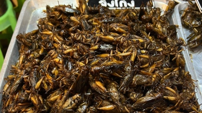 Insekten wie Würmer und Käfer gehören in Thailand bereits zum Straßenbild. (Archivbild) (Foto: Carola Frentzen/dpa)