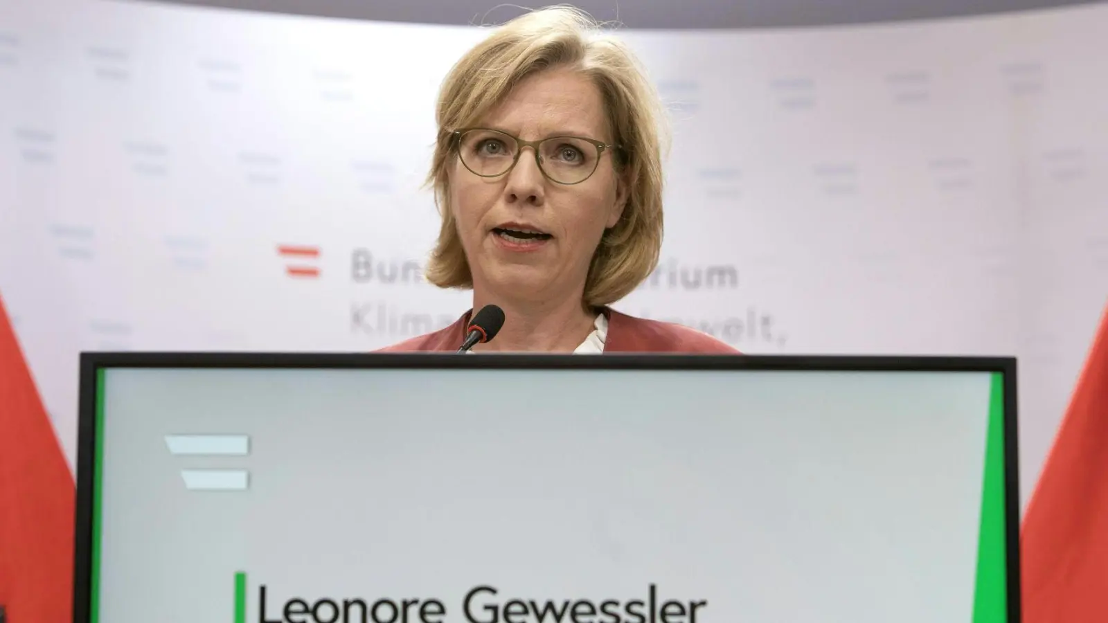 Österreichs Energieministerin Leonore Gewessler (Grüne)  dringt auf Änderungen beimm Gasimport (Foton Archiv) (Foto: Alex Halada/APA/dpa)