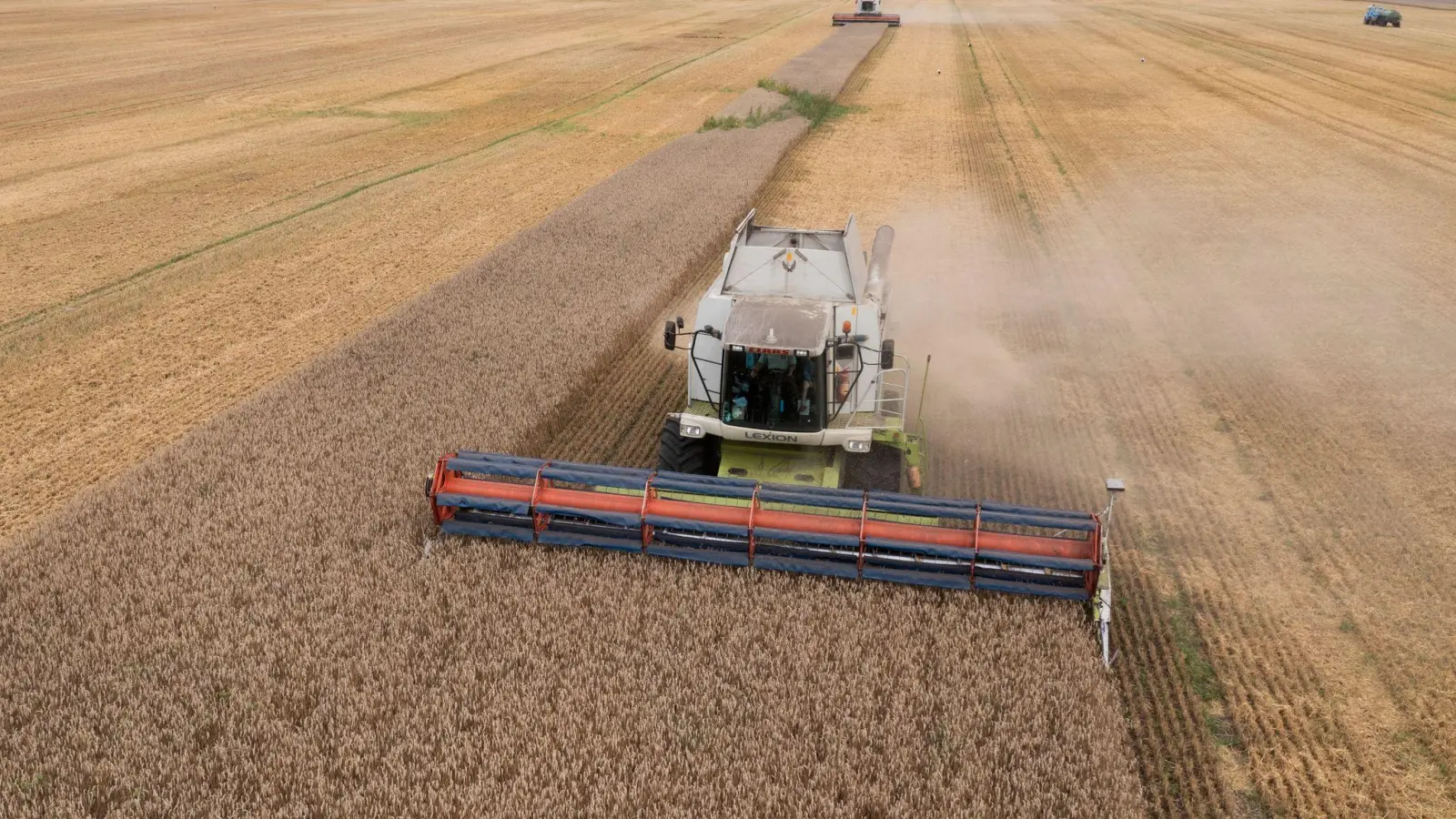 Ein Mähdrescher erntet Weizen in der Ukraine. Russland sperrt sich gegen eine Verlängerung des Abkommens zur Ausfuhr von ukrainischem Getreide über das Schwarze Meer. (Foto: Efrem Lukatsky/AP)