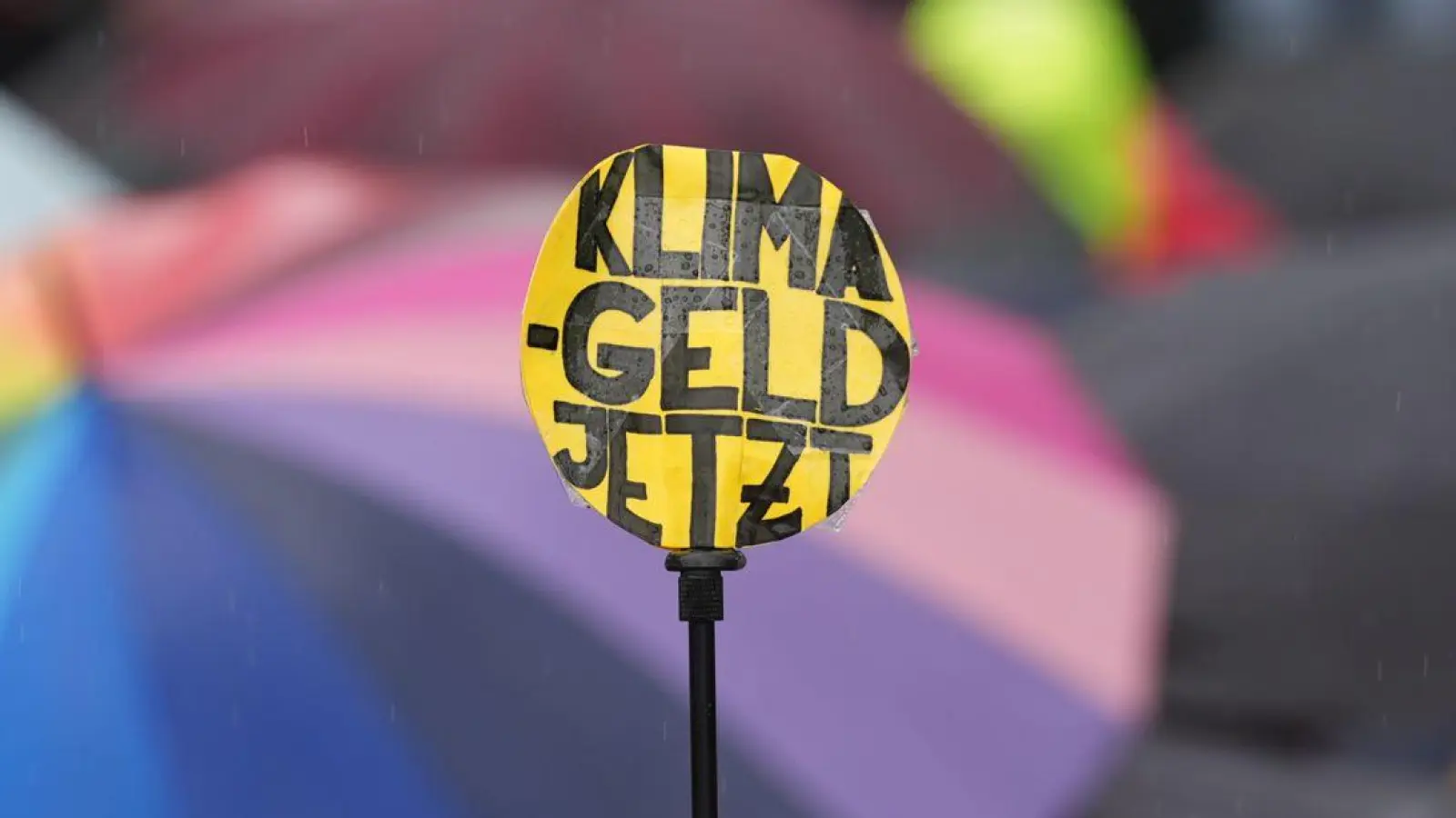 Teilnehmer protestieren während des Klimastreiks von Fridays for Future in Hamburg. (Foto: Marcus Brandt/dpa)