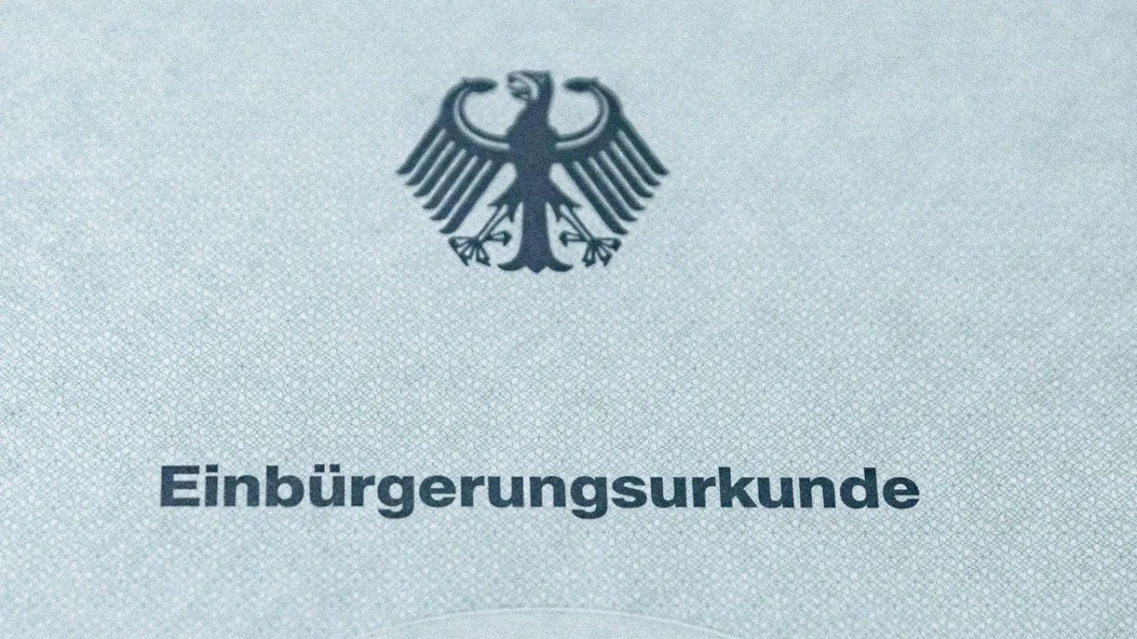 Eine Einbürgerungsurkunde liegt auf einem Tisch. (Foto: Markus Scholz/dpa/Symbolbild)