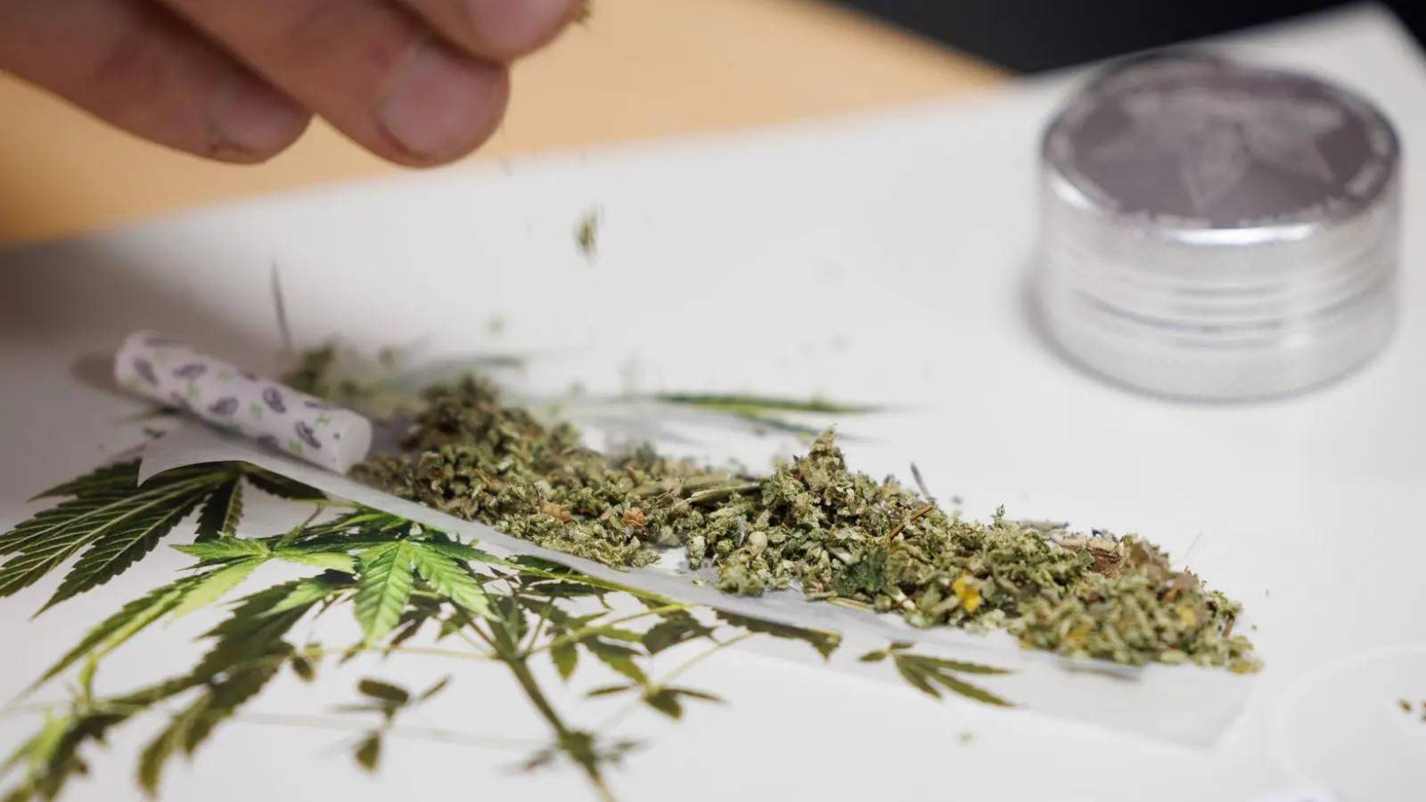 Seit 1. Juli können Erwachsene in nicht-kommerziellen „Anbauvereinigungen“ Cannabis gemeinsam anbauen und untereinander zum Eigenkonsum abgeben. Zuvor müssen sie allerdings eine Erlaubnis beantragen. (Foto: Friso Gentsch/dpa)