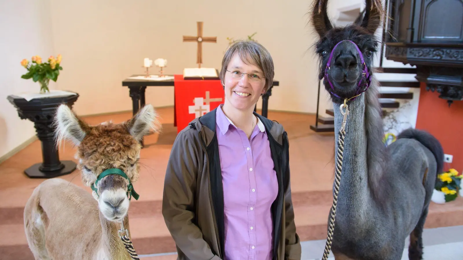 Pfarrin Wiltrud Bauer nimmt ihre Tiere gerne zu Besuchen im Hospiz oder Altenheim mit (Archivbild) (Foto: picture alliance / dpa)