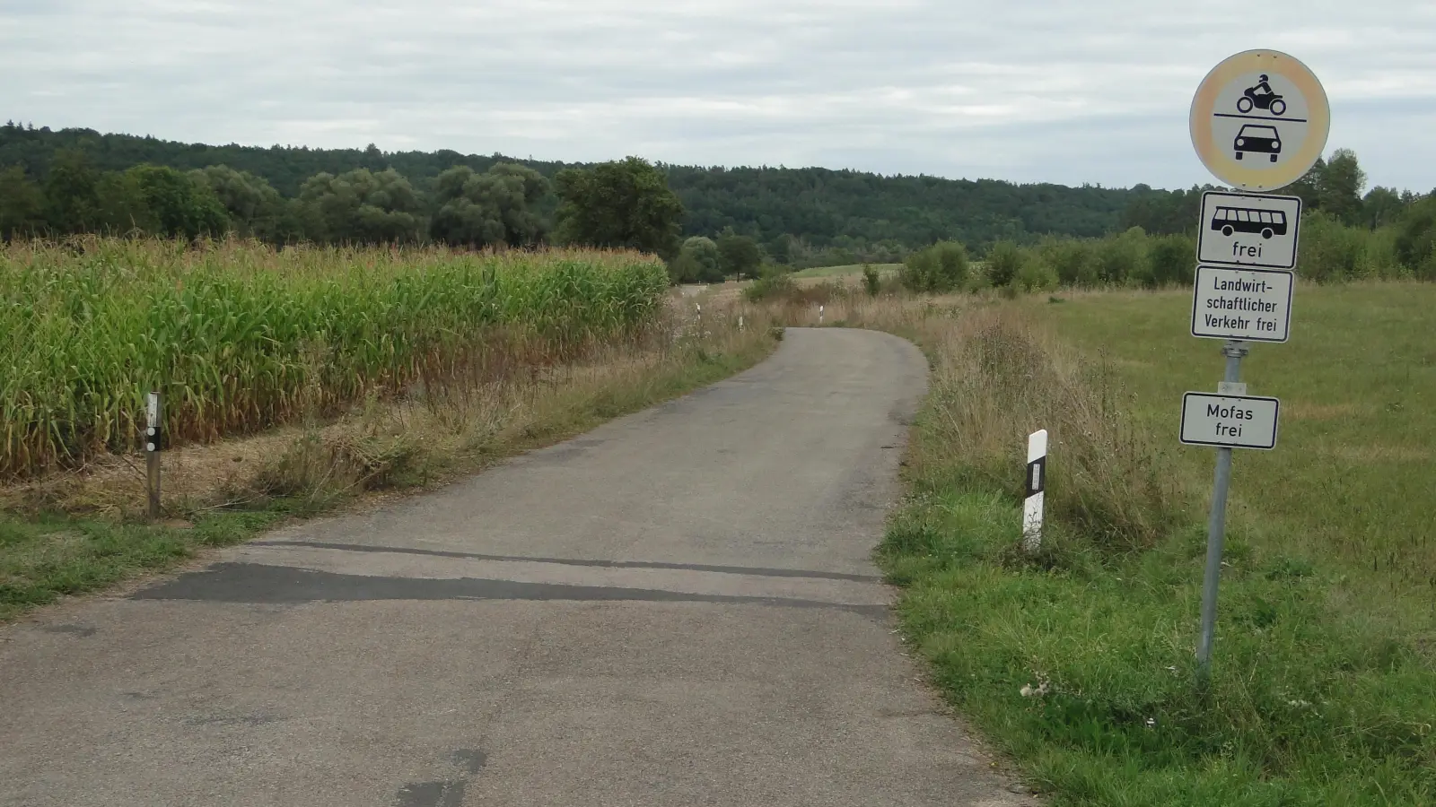 Hier, über die alte, bestehende Staatsstraßentrasse von Dornberg entlang des Scheerweihers bis Schalkhausen, will die Stadt Ansbach den Radweg zwischen Leutershausen und Ansbach führen. (Foto: Winfried Vennemann)