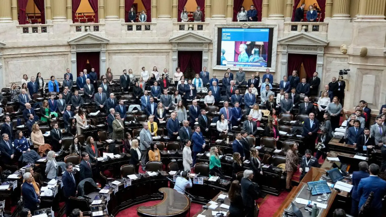 Rund zwölf Stunden debattierten die Abgeordneten des argentinischen Parlaments - und stimmten dann Mileis Reformpaket zu. (Foto: Natacha Pisarenko/AP/dpa)