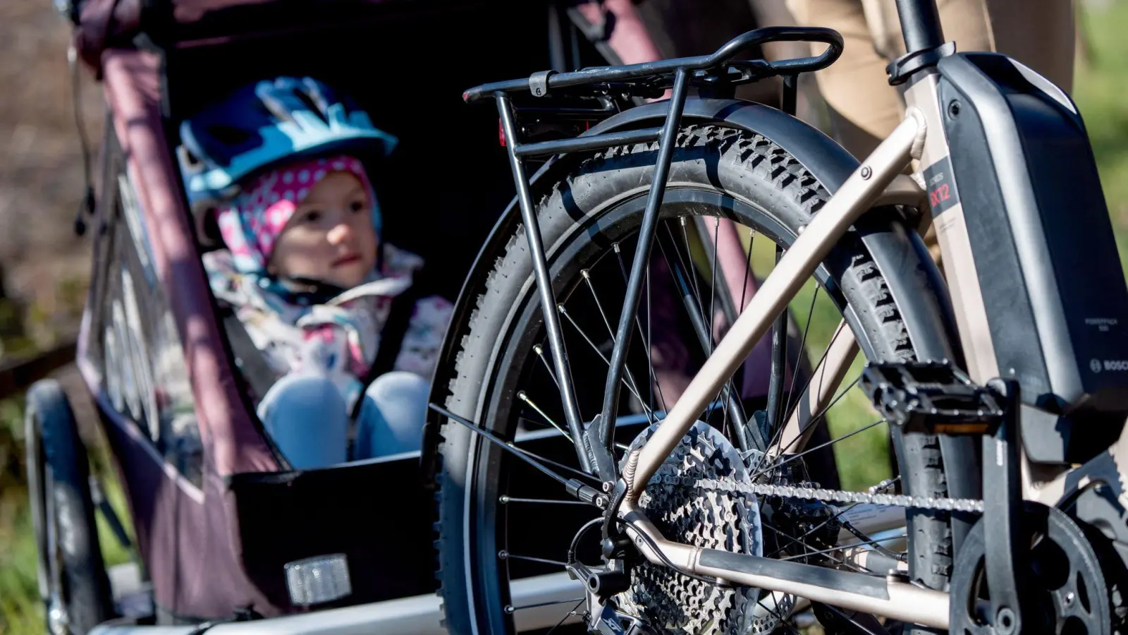 Kinder sollten erst ab einem Alter von über einem Jahr in einem Fahrradanhänger transportiert werden. (Foto: Zacharie Scheurer/dpa-tmn)