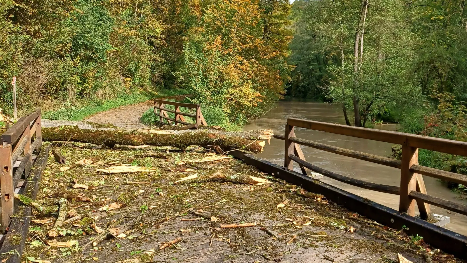 Mitten am Tag ist der Baum mitten auf die Brücke gefallen. Hier ist noch ein Teil der Esche zu sehen. (Foto: Andreas Keitel/Stadt Rothenburg)