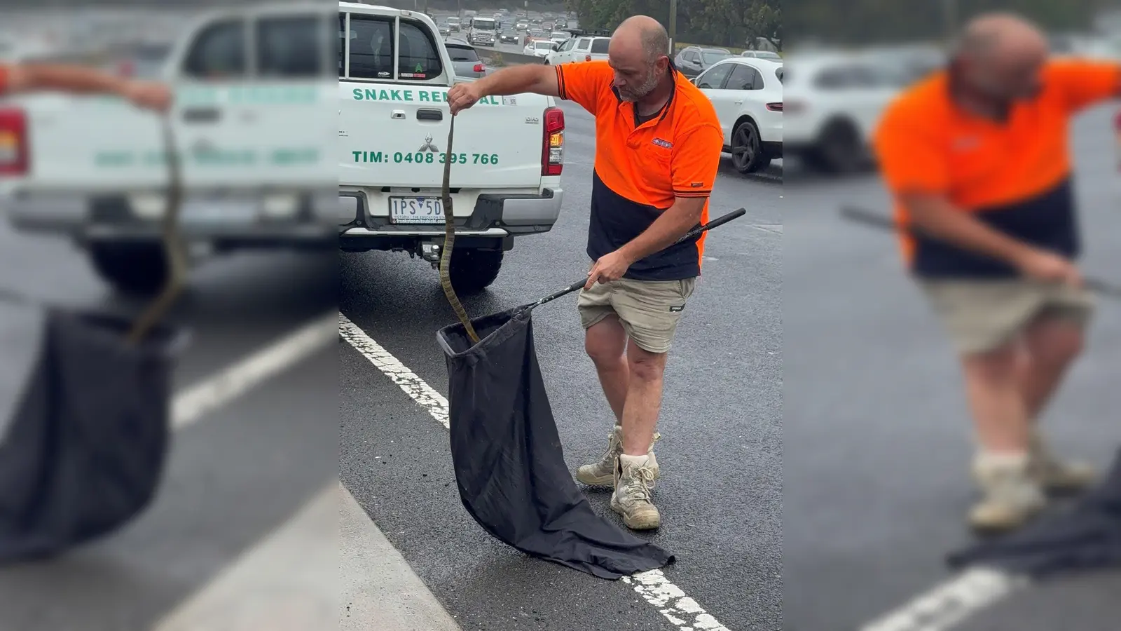 In Australien musste sich eine Frau vor einer tödlichen Giftschlange aus ihrem Auto retten. (Foto Handout) (Foto: --/Victoria Police/dpa)