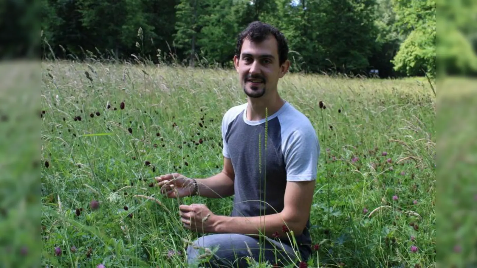 Wolfgang Endres ist seit Anfang des Jahres 2022 als Blühpaktberater bei der Regierung von Mittelfranken tätig. In einer Flachlandmähwiese im Ansbacher Hofgarten zeigt er den Großen Wiesenknopf, dessen Blüten wie Kaffeebohnen aussehen. (Foto: Kristina Schmidl)