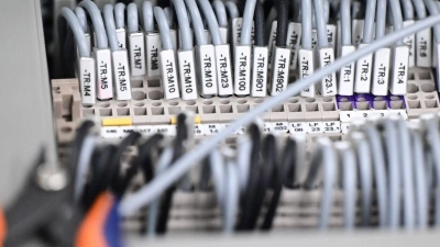Kabelstränge liegen in einer Produktionshalle: Das Geschäftsklima in der deutschen Elektro- und Digitalindustrie ist zurückgefallen. (Foto: Bernd Weißbrod/dpa)