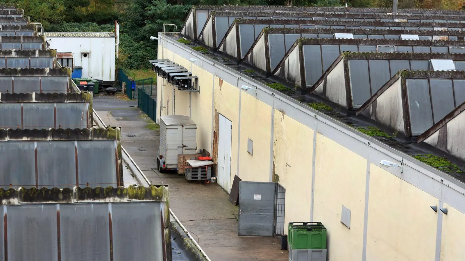 Der Aschaffenburger Schlachthof ist wegen Tierschutzverstößen in die Schlagzeilen geraten. (Archivfoto) (Foto: Karl-Josef Hildenbrand/dpa)