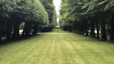 Grüne Lunge im Herzen der Stadt: Die 550 Meter lange Lindenallee ist nur einer der vielen Hingucker im Hofgarten. (Foto: Florian Pöhlmann)