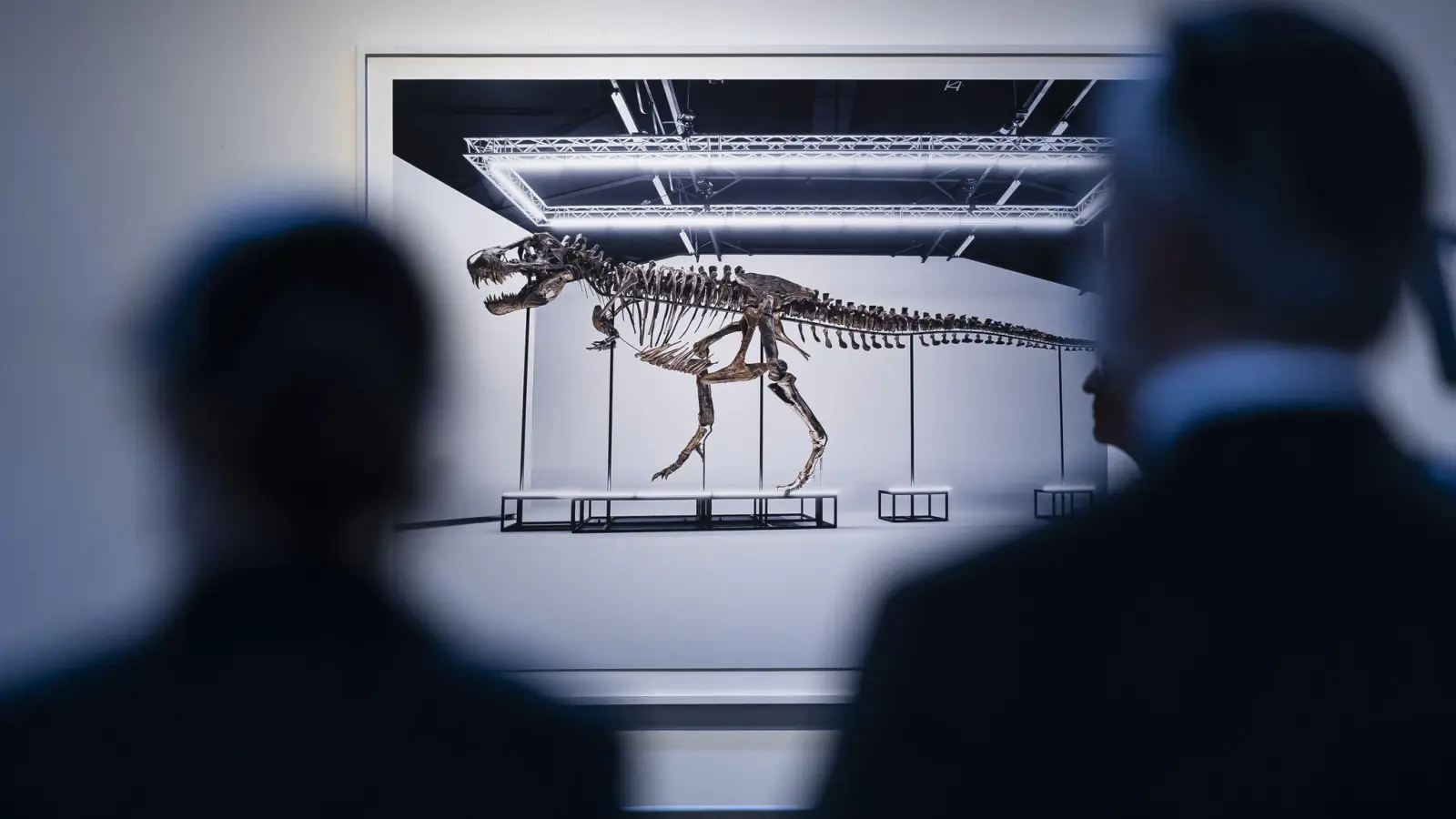 Besucher betrachten das T. rex-Skelett in Zürich. (Foto: Michael Buholzer/KEYSTONE/dpa)