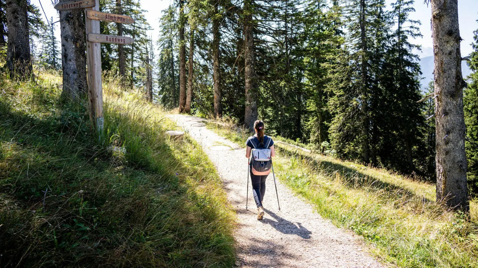 Auch mit Knie-Arthrose kann man wandern gehen. Höhen- und Panoramawege sind in dem Fall aber geeigneter als ein steile Auf- und Abstiege am Berg. (Foto: Benjamin Nolte/dpa-tmn)