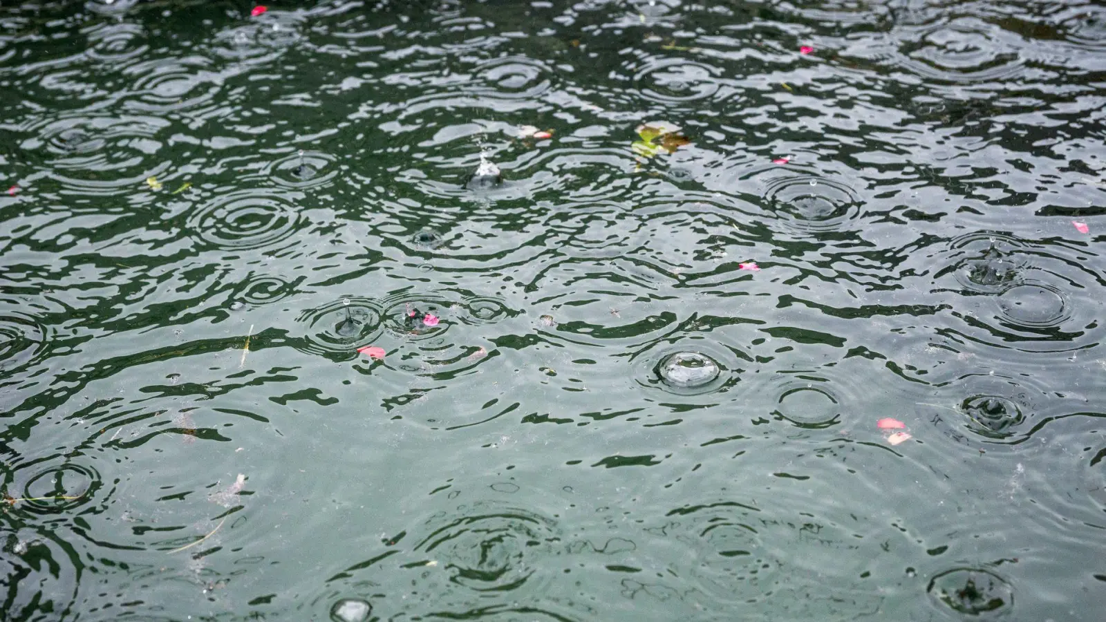 Das Wochenende wird öfter nass - für die neue Woche wegen hingegen hohe Temperaturen erwartet (Archivbild). (Foto: Daniel Vogl/dpa)