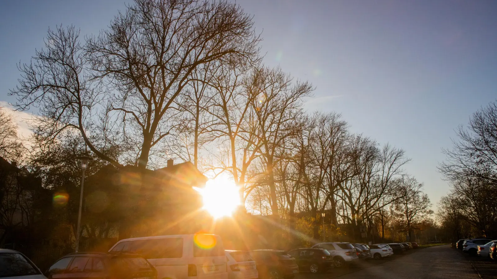 Zahlreiche Bäume zwischen Kasernendamm und Rezatparkplatz müssen weichen: Details der Planungen zum Hochwasserschutz wurden deshalb auch vom Projektleiter kritisiert. (Foto: Evi Lemberger)