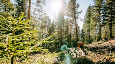 Der Hochzeiger Family Trail ist der erste MTB-Trail im Tiroler Pitztal. (Foto: Rudi Wyhlidal/Hochzeiger Bergbahnen/dpa-tmn)