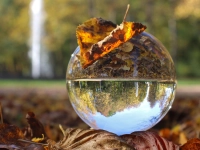 Glaskugel Herbst - gesehen in Ansbach. (Foto: Wolfgang Göschel)