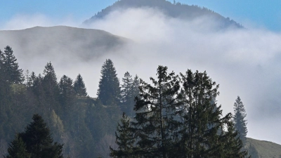 Blick auf das Mangfallgebirge. Das Wochenende bringt Nebel nach Bayern. Zumindest, wenn im Tal bei Bayrischzell ist.  (Foto: Uwe Lein/dpa)