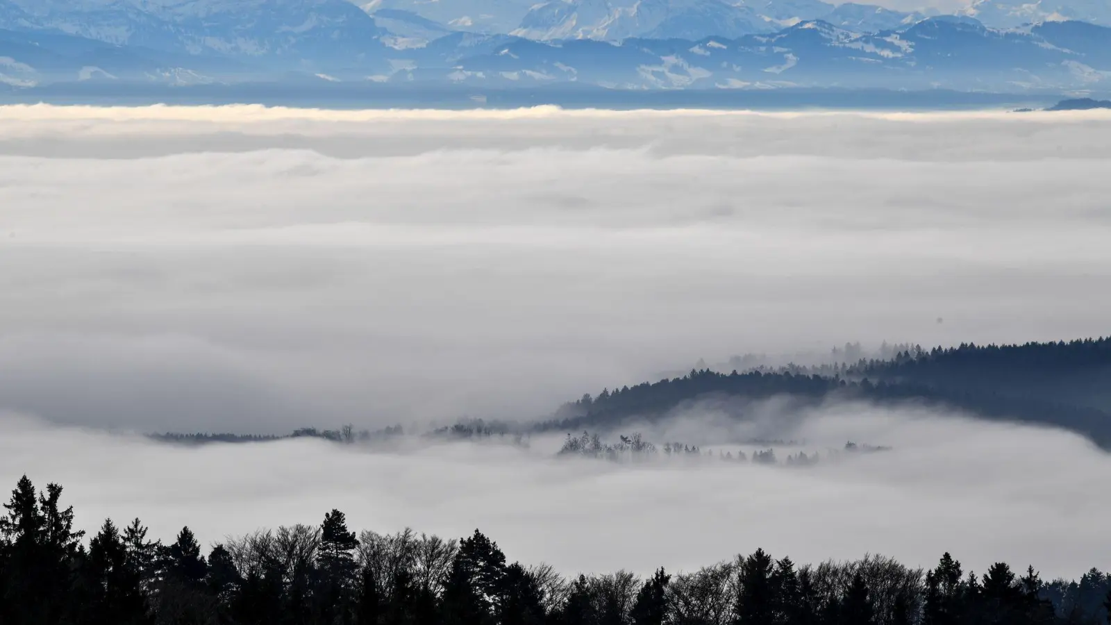 Wer auf den Berg steigt, kann ein Nebelmeer unter sich erwarten. (Archivbild) (Foto: picture alliance / Felix Kästle/dpa)