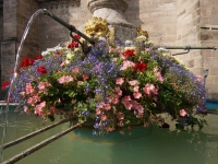 Prächtiger Blumenschmuck - gesehen in Ansbach. (Foto: Ralf Hanisch)