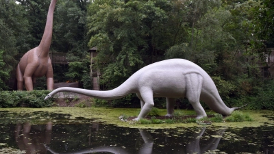 Nachbildungen eines Brachiosaurus (l) und eines Diplodocus stehen im Saurierpark im sächsischen Kleinwelka. (Foto: Britta Pedersen/dpa-Zentralbild/dpa)