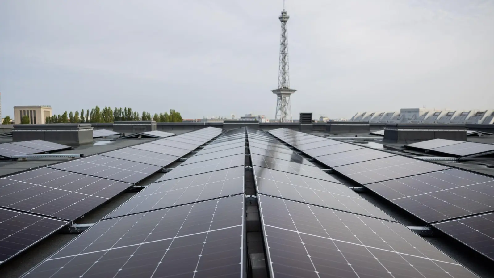 Der Solarausbau hat deutlich Fahrt aufgenommen.  (Foto: Christoph Soeder/dpa)