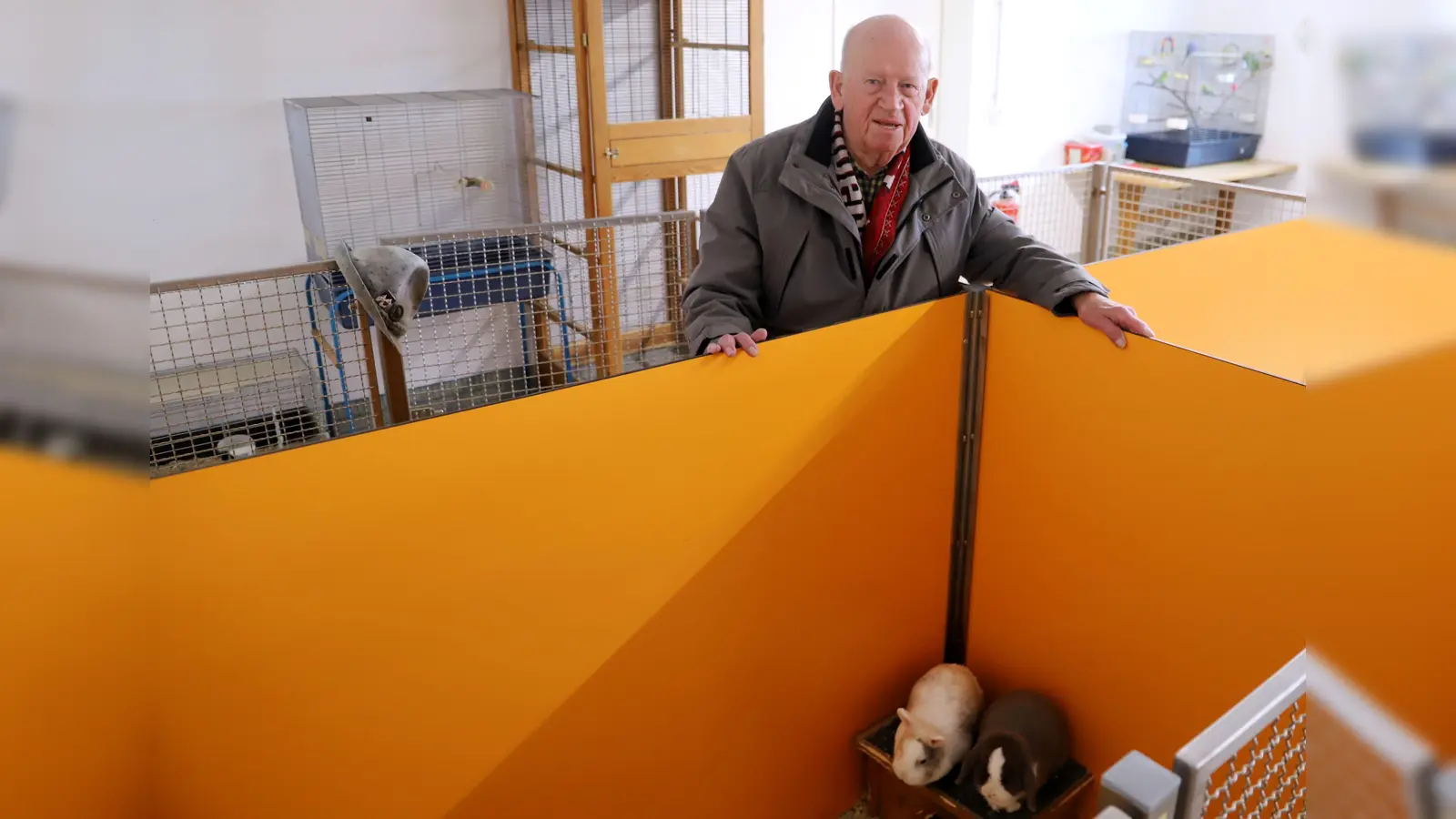 Der Vorsitzende des Tierschutzvereins Ansbach und Umgebung, Günter Pfisterer, sieht sich bei zwei Zwergkaninchen um. Sie logieren im Kleintierhaus des Tierheims. (Foto: Oliver Herbst)