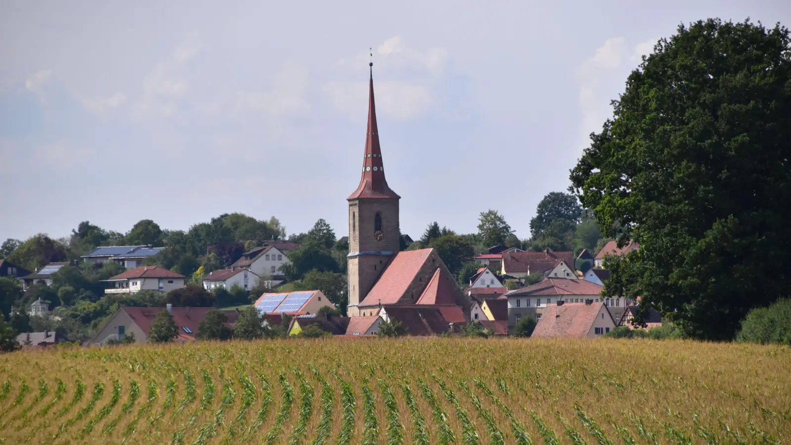 Mais-Feld bei Sachsen, Mais-Ernte, Ernte (Foto: Kurt Güner)