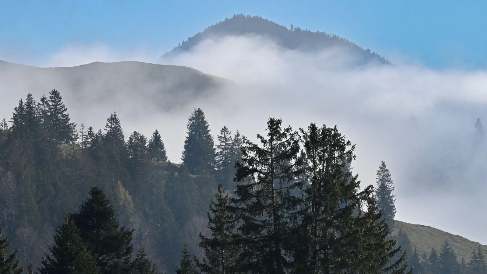 Viel Nebel und Sonne nur in höheren Lagen: Das sagt der Deutsche Wetterdienst für dieses Wochenende voraus. (Symbolbild) (Foto: Uwe Lein/dpa)