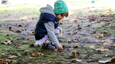 So viele Kastanien: Gerade der Herbst löst bei manchen Kindern eine Sammelleidenschaft aus. (Foto: picture alliance / Mascha Brichta/dpa-tmn)