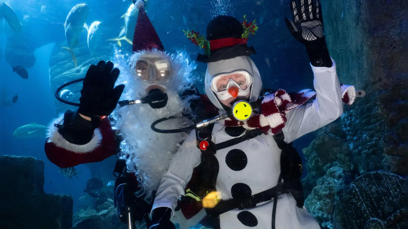 Nicht nur Kinder bekommen Geschenke vom Weihnachtsmann - auch Fische und Haie.  (Foto: Sven Hoppe/dpa)