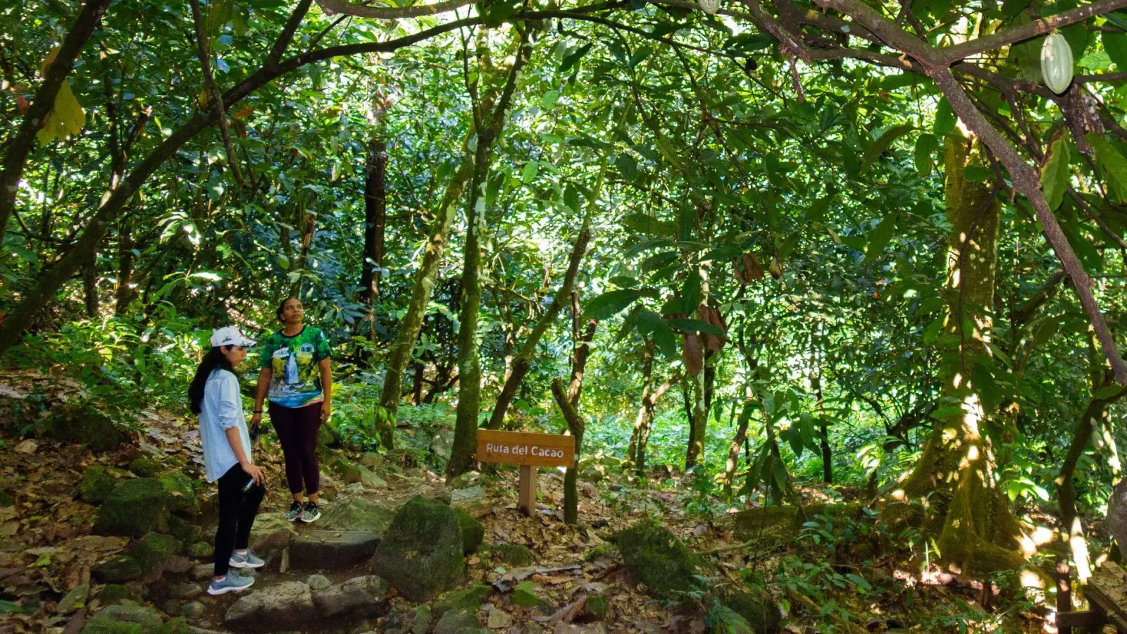 Wandern zum Wasserfall: unterwegs im Naturschutzgebiet Saltos de Jima. (Foto: Andreas Drouve/dpa-tmn)