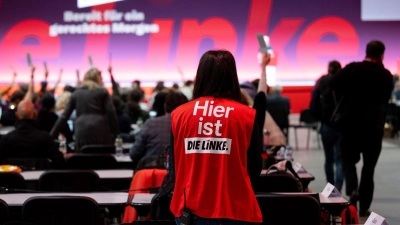 Der Bundesparteitag der Linken hat sich gegen ein Bedingungsloses Grundeinkommen positioniert. (Foto: Hendrik Schmidt/dpa)